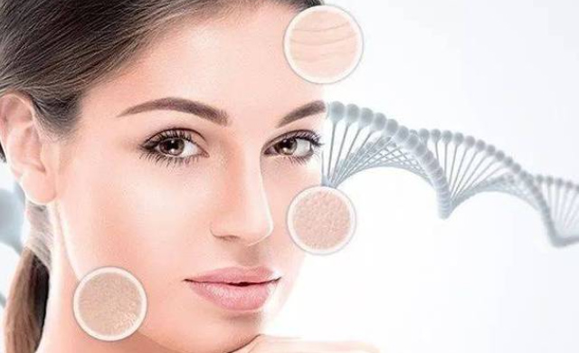 The Science, The Benefits, and The Lifestyle Foundation for Lasting Health